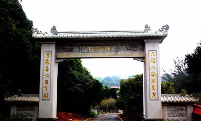 深圳失去了就会爱上的城市,深圳现状是什么