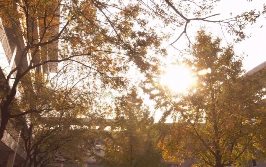 金陵中学河西分校和河西金陵中学,金陵中学河西分校是民办还是公办