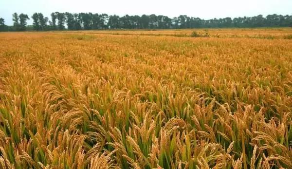 新规来了这些新规将影响你的生活,政策来了是不是开始实施了