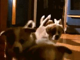 土耳其货币崩盘后的影响,土耳其货币崩盘最新消息