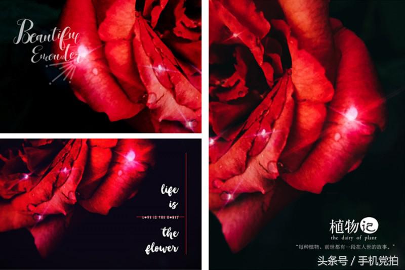 word怎么让图片印章衬于文字下方,图片上面加印章怎么浮于文字上方