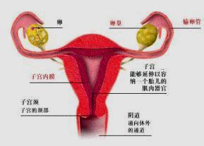 三个常见避孕方法的优劣比较,药物避孕的正确用法