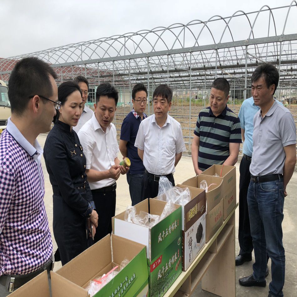 南通三农增产增收,海门三个高质量发展主题