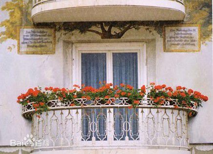 自己的花是给别人看的,自己的花是给别人看的是什么文体