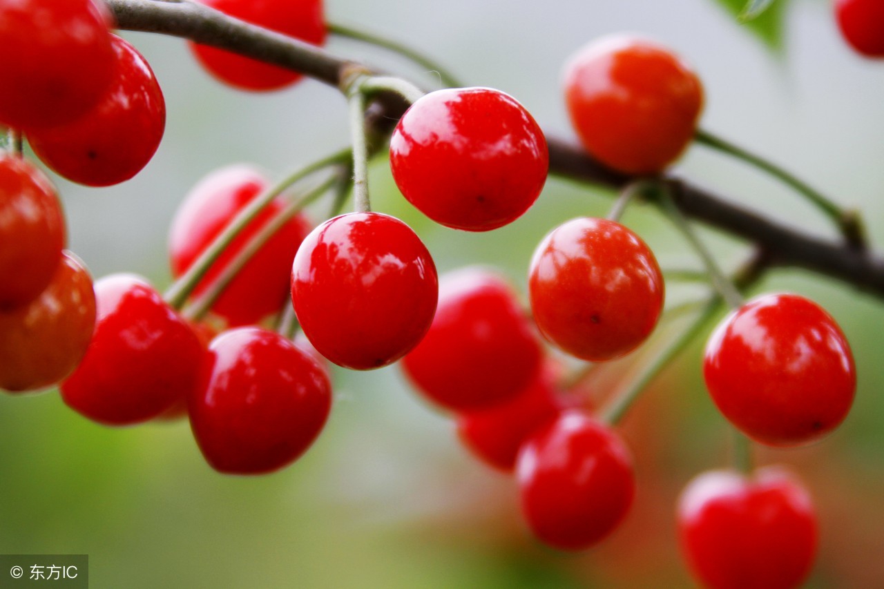 感冒喉咙痛医生开的药,感冒喉咙疼吃什么消炎最快