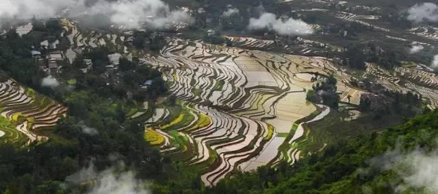 重庆免门票周边游地方推荐,重庆周边免门票公园