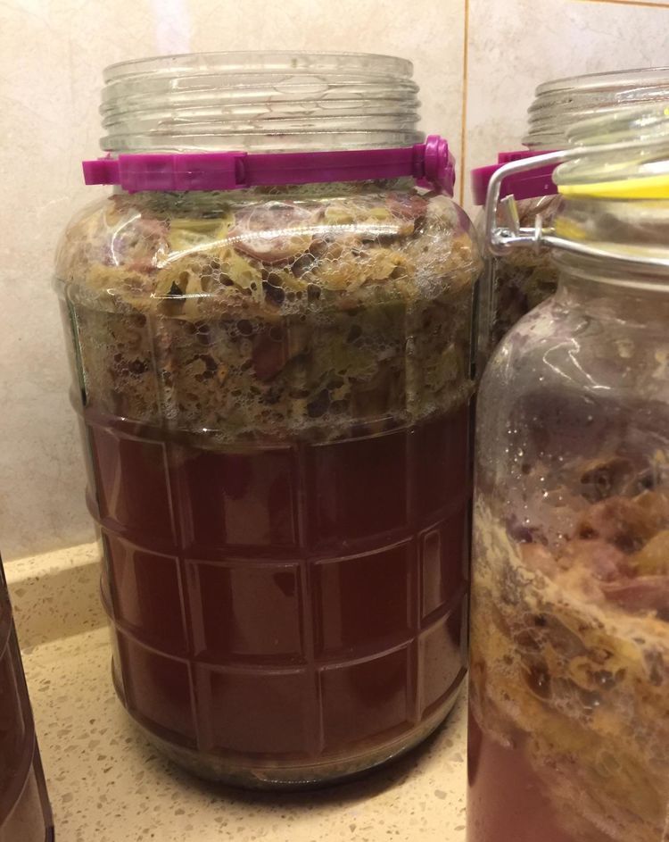 自酿葡萄酒的详细制作方法,葡萄酒正确做法自酿全过程