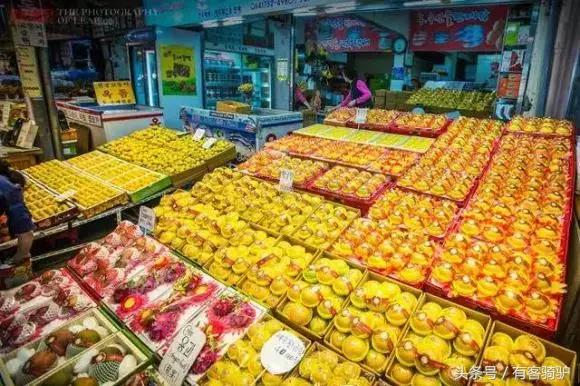 济州岛君悦酒店附近游玩攻略,韩国济州岛一日游最佳美食攻略