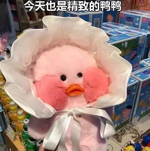 粉丝的包包,粉丝的口红