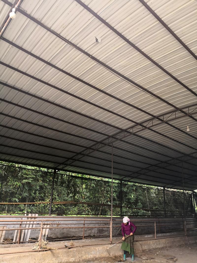 云南陨石卖160万,云南陨石坠落最贵一块卖多少钱