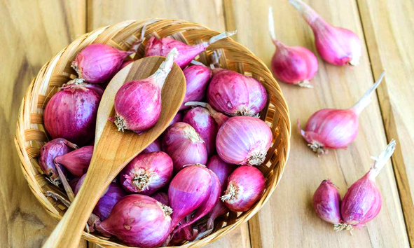 虚火牙痛怎么快速止牙痛,5秒钟快速止牙痛的土配方