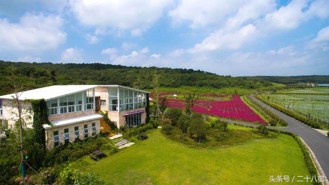 陈柏霖纳米比亚自驾游视频,陈柏霖在沙漠开车