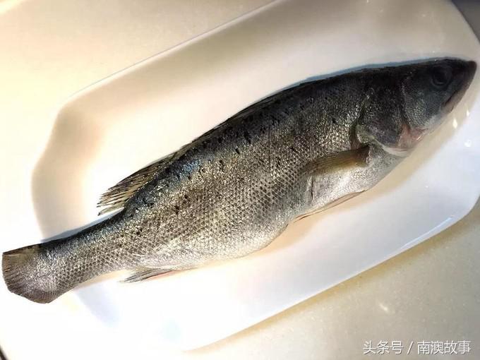 国庆去南澳岛旅游攻略,南澳岛赶海出海游玩攻略