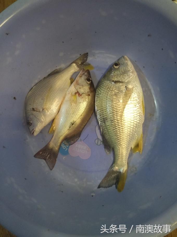 国庆去南澳岛旅游攻略,南澳岛赶海出海游玩攻略