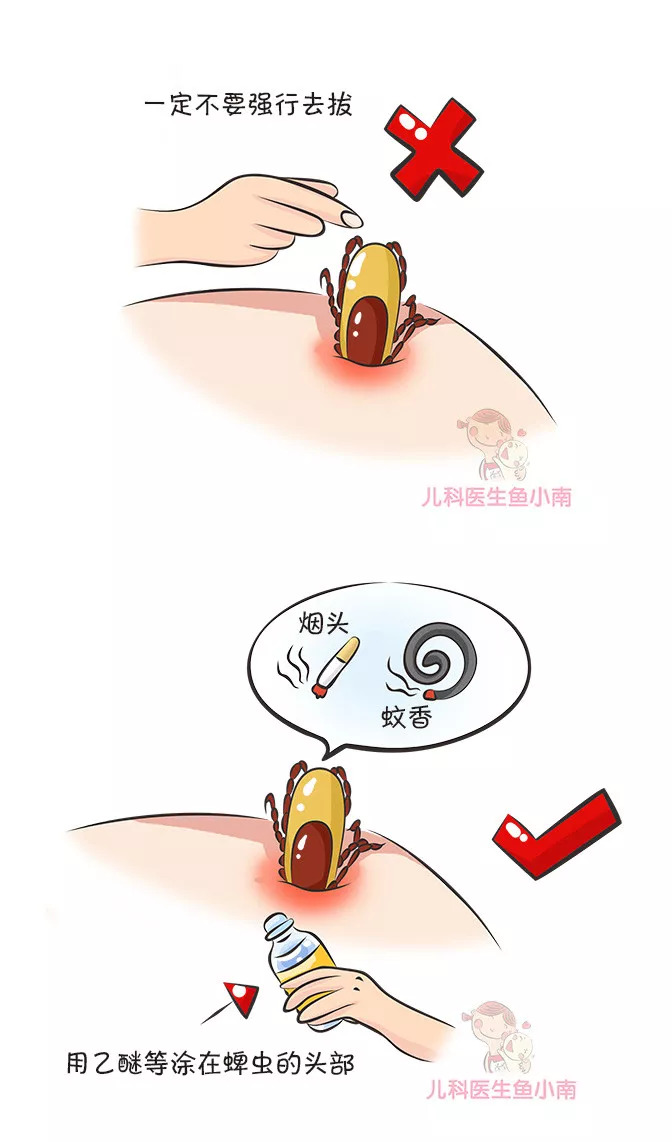 蜱虫咬在孩子头上怎么处理,宝宝如何预防蜱虫叮咬