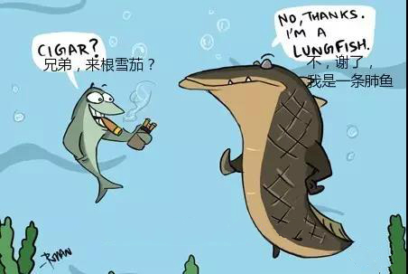 见到这只鱼大伙都要喊它爷爷,结局竟被安乐死,人们却表示赞同