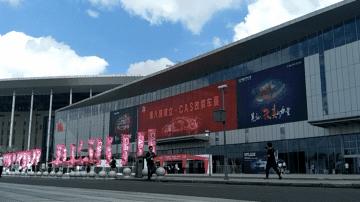 没了波多老师，CAS还有什么看头？