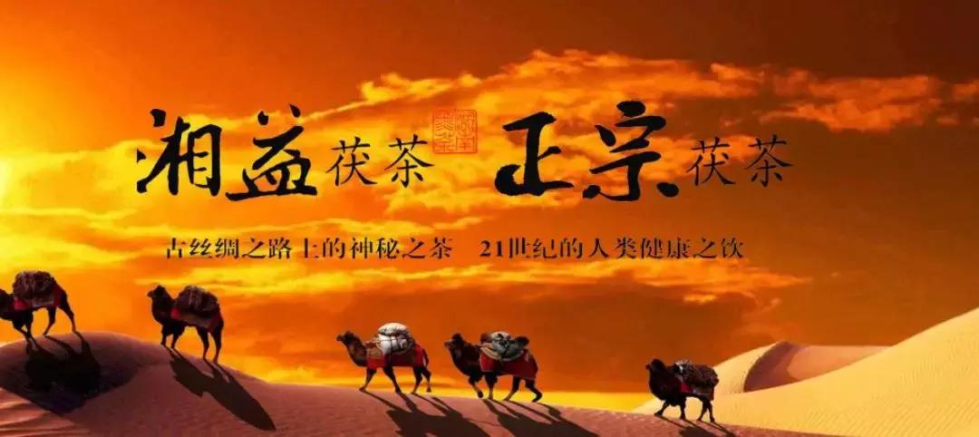 湖南千亿茶产业,湖南茶业产业发展现状