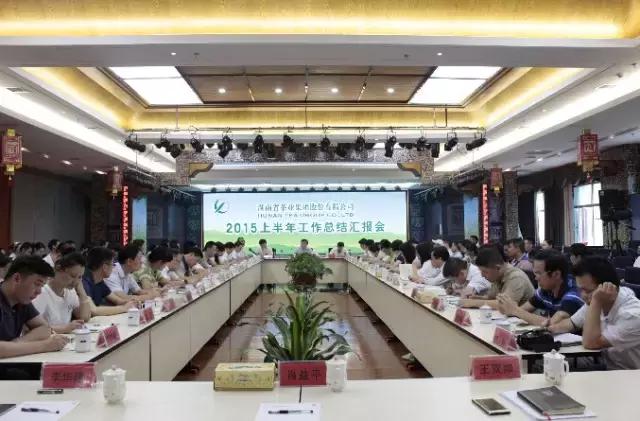 湖南千亿茶产业,湖南茶业产业发展现状