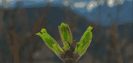 当妈的色情直播，竟带着孩子！全国“扫黄打非”办，最新回应！