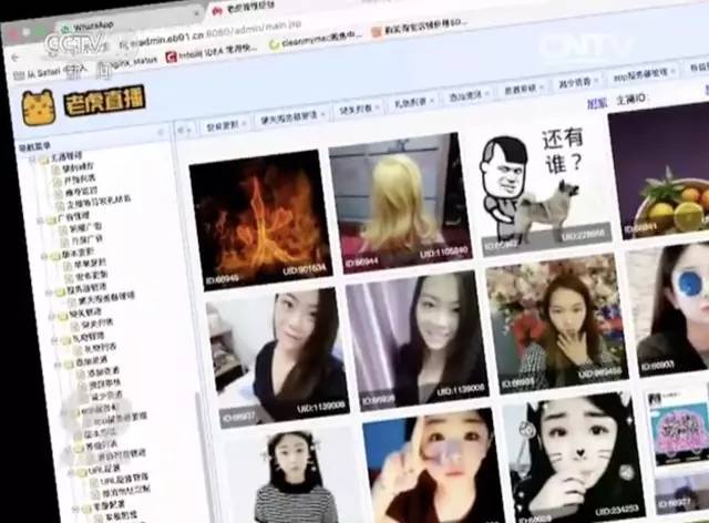 女主播直播牟利百万,女主播直播2年牟利150万