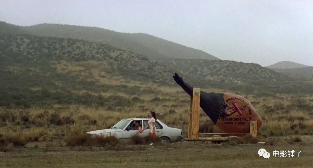 知音体伦理故事,被这片拍了出来