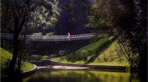 韶关曲江乳源诗友结袂自然游集诗三十首