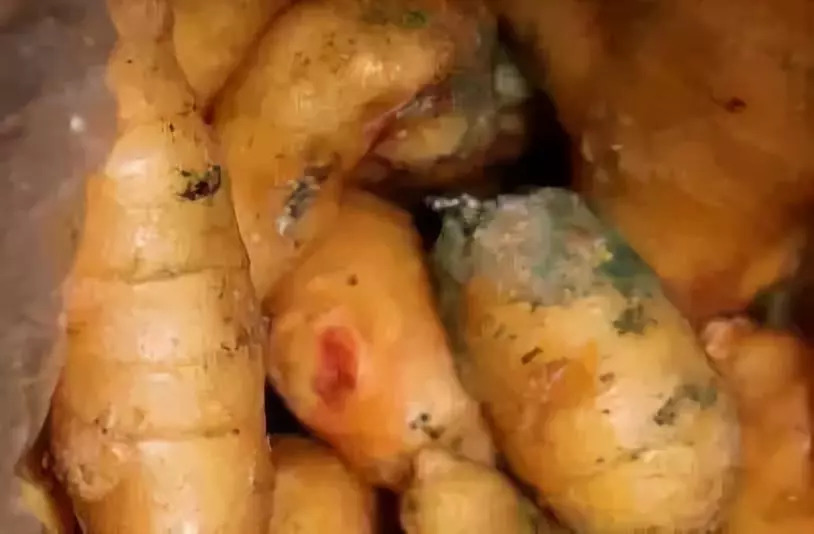 一家5口中毒是什么原因,一家五口绿豆汤中毒事件