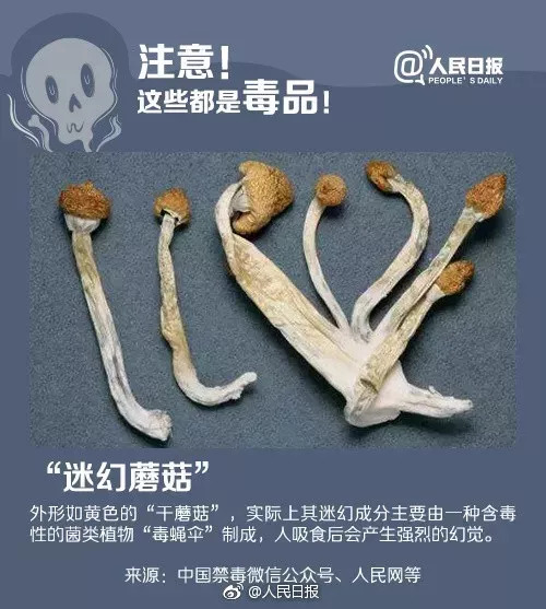 新型毒品要警惕,新型毒品发作的危害