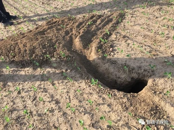 持枪证的考试条件,怎么考狩猎持枪证