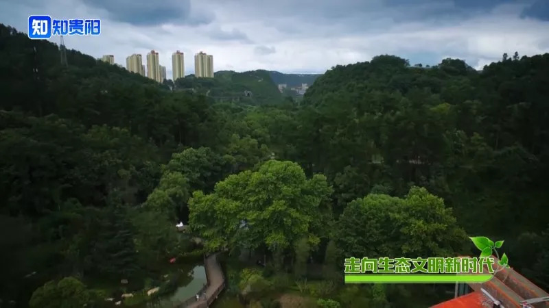 “百山治理”之后，我市这些山体都披上了绿装，有你常见到的吗？