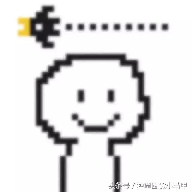 护肤姐妹花,护肤姐妹花推荐