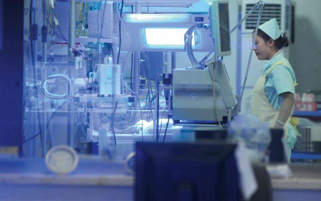 熊猫血妈妈是谁,熊猫血妈妈吃什么