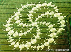 麦田怪圈的真相真是外星人所为吗,麦田怪圈是人类弄的吗
