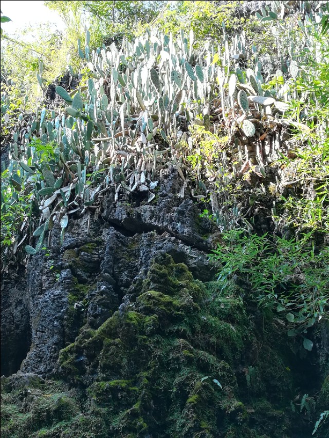 贵州自驾游旅游攻略自由行,贵州环省自驾旅游攻略