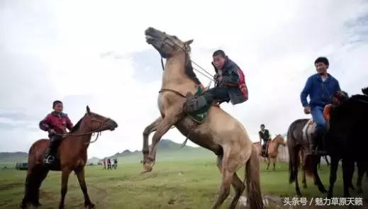 外国媒体报道蒙古国,国外报道蒙古族的视频