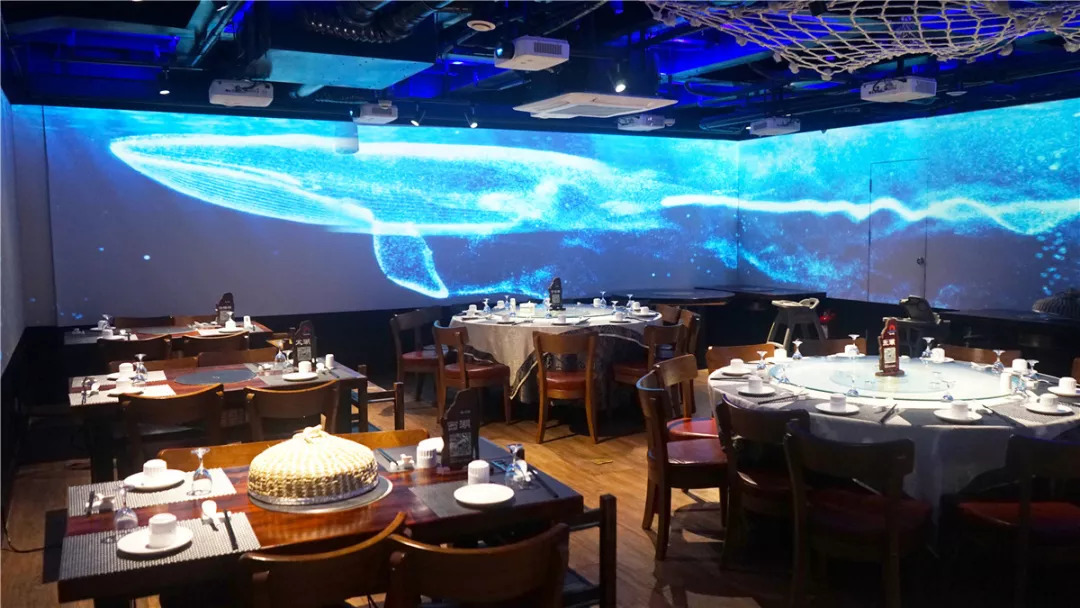 登上这艘神秘大船，体验24小时的时光穿越！