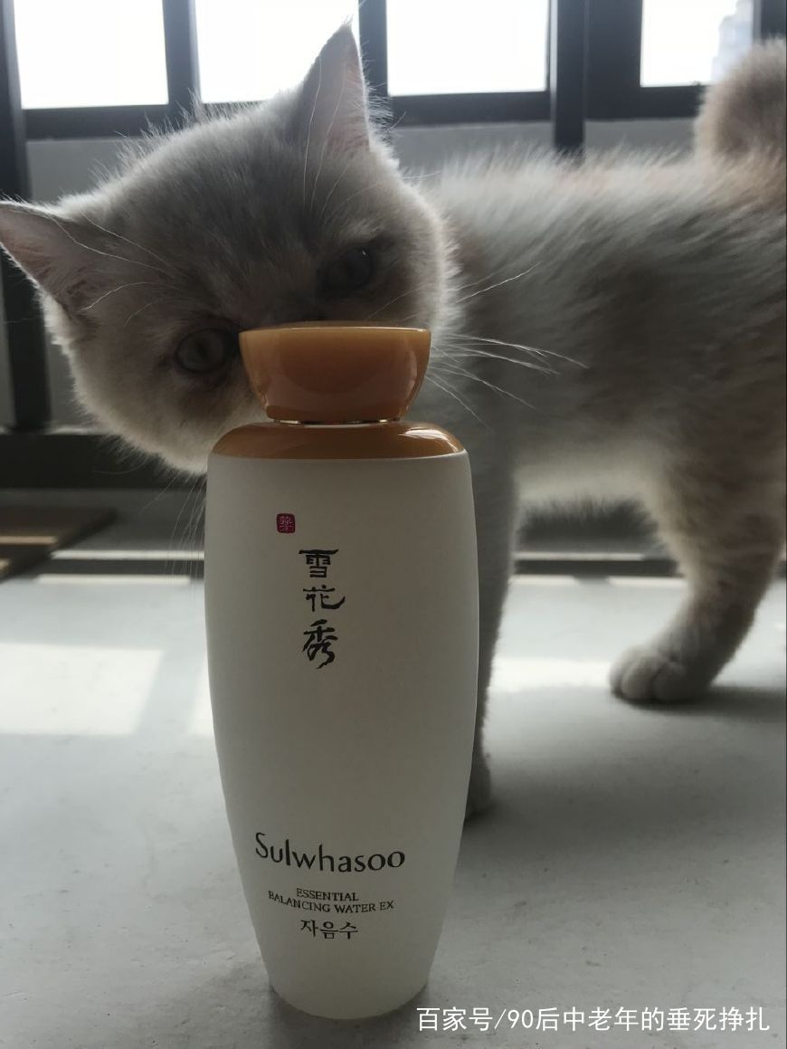 雪花秀和后哪个美白好,韩妆雪花秀气垫