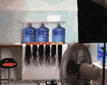 谁说便宜没好货,谁说便宜没好货下句怎么接