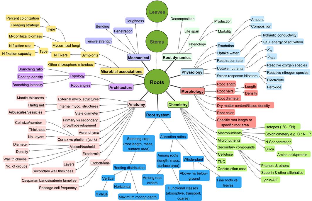 化作春泥更护花全诗及注解,化作春泥更护花意思相近的诗句