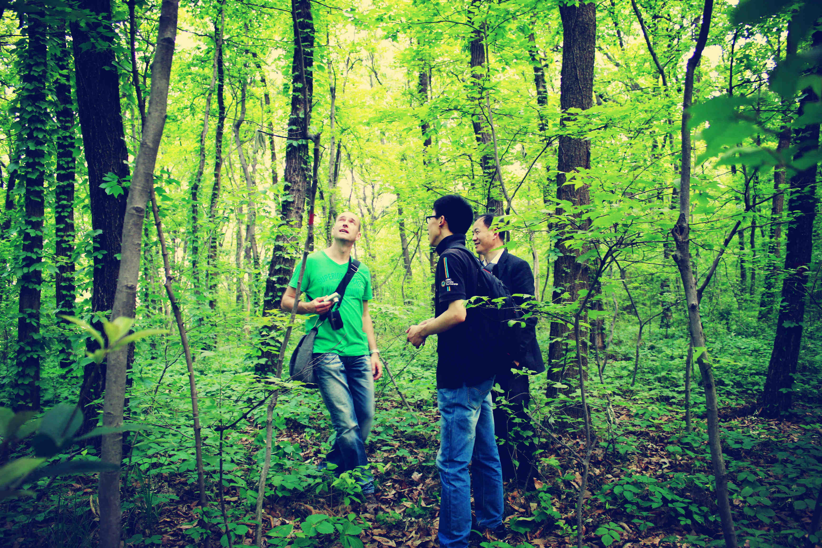 化作春泥更护花全诗及注解,化作春泥更护花意思相近的诗句