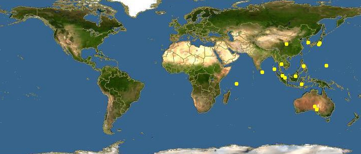 蛏子扇贝各种贝类如何区分,海鲜蛏的品种大全