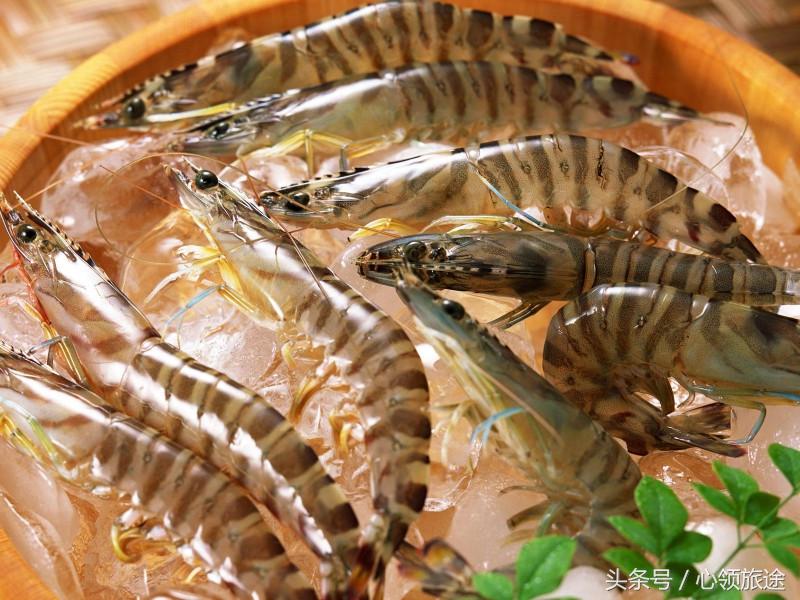 大连周边海岛游玩推荐,大连最美的海岛是哪里