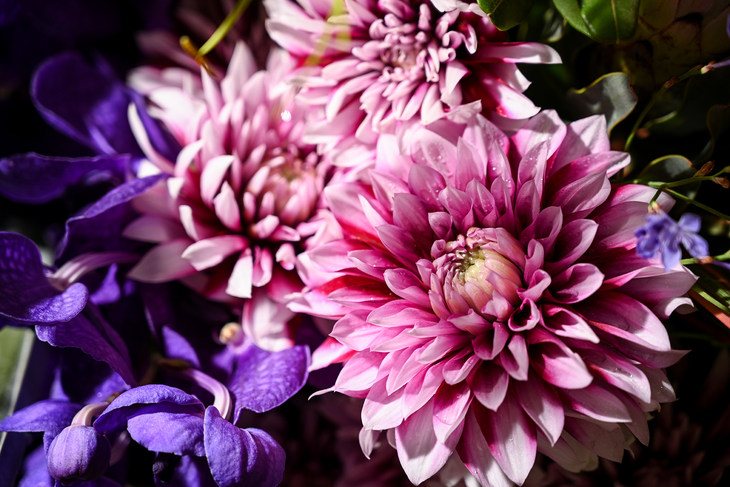 尼康Z7II全画幅微单评测视频,尼康z7微单深度评测