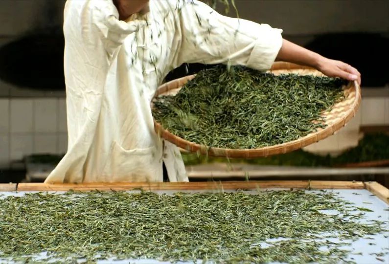 布朗族普洱茶的制作工艺,勐库源头手工制作普洱茶老工艺