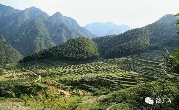 一亩养殖石斑鱼的利润是多少呢,养1万斤淡水石斑鱼盈利大概多少