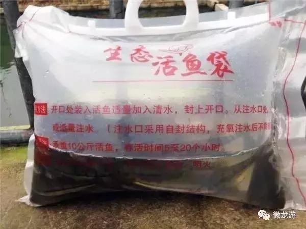 一亩养殖石斑鱼的利润是多少呢,养1万斤淡水石斑鱼盈利大概多少