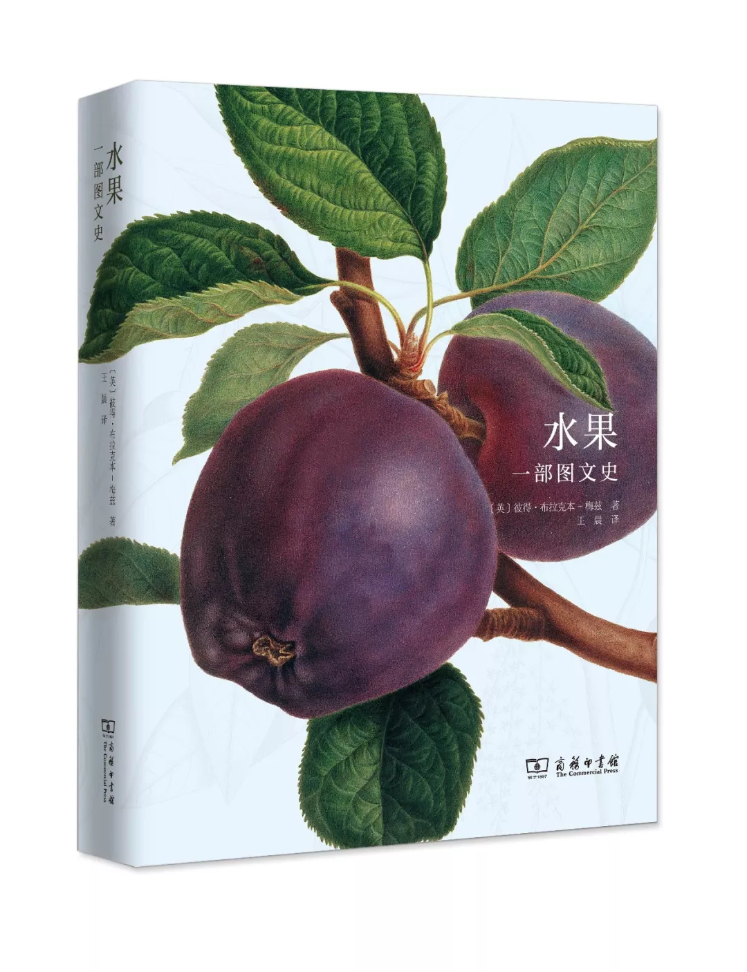 情人节想要给你永不褪色的浪漫,情人节送给彼此的浪漫