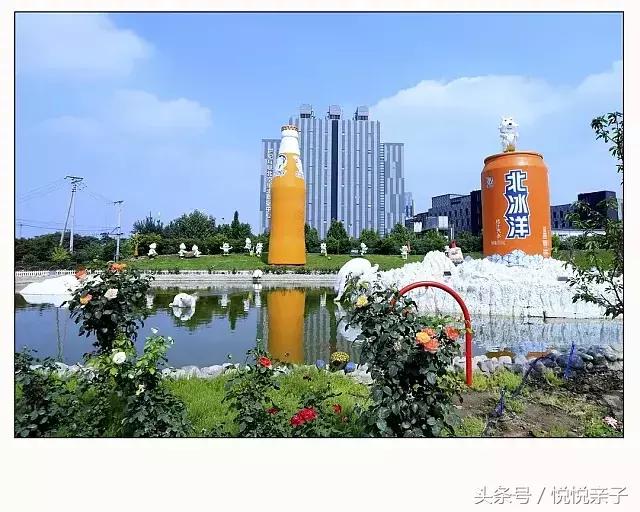 北冰洋69.9块钱24瓶,69元北冰洋汽水