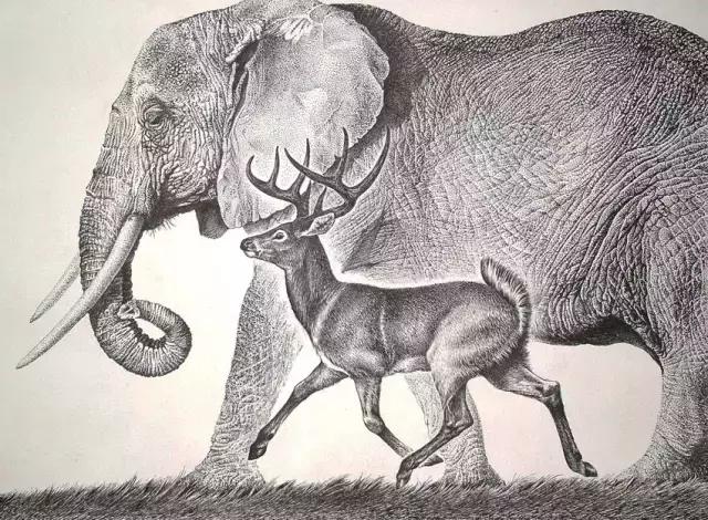 顶级超写实钢笔画,最惊艳的钢笔画大神